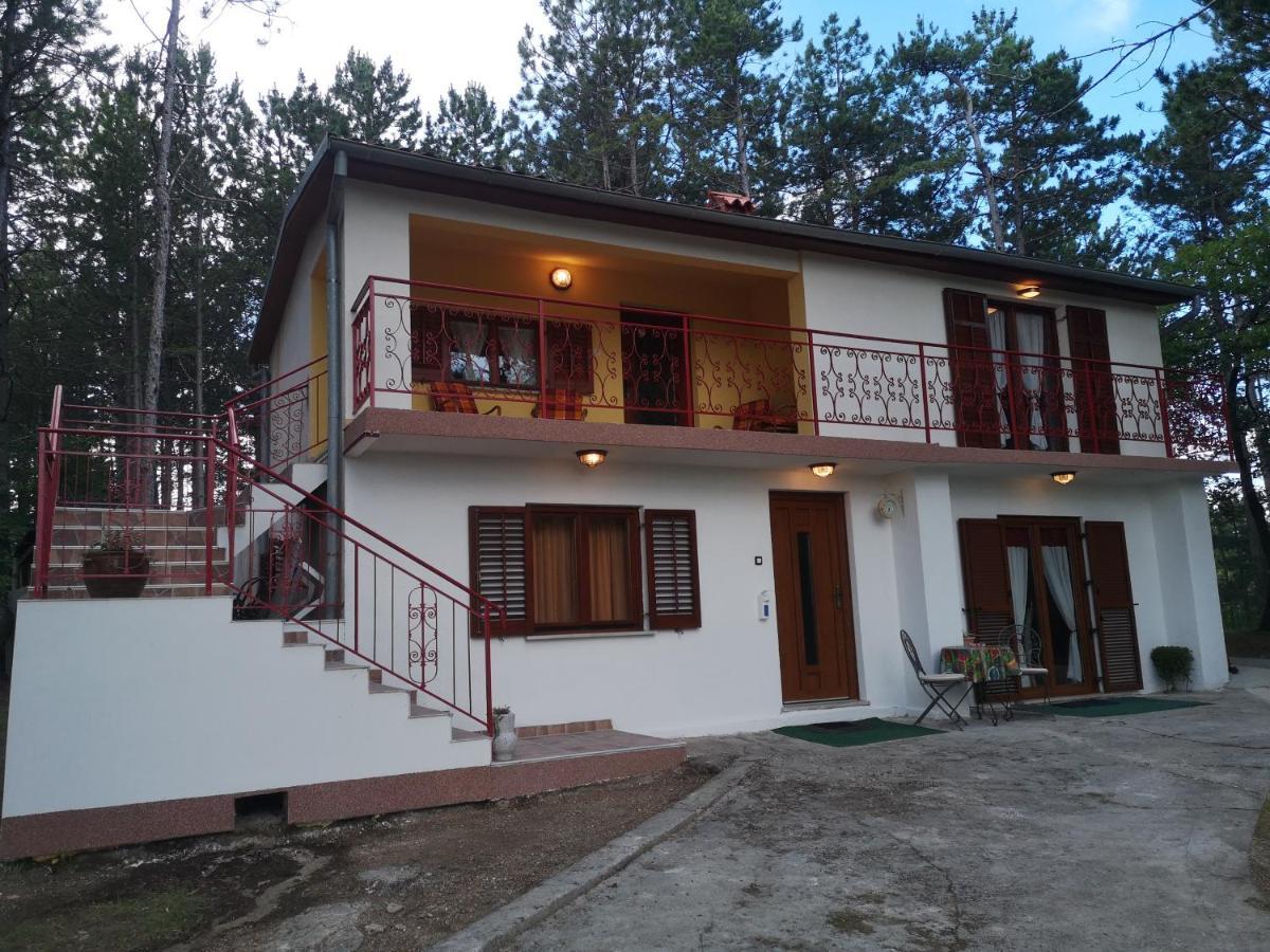 Villa Pineta Gračišče Exterior foto